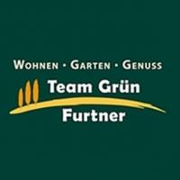 Team Grün